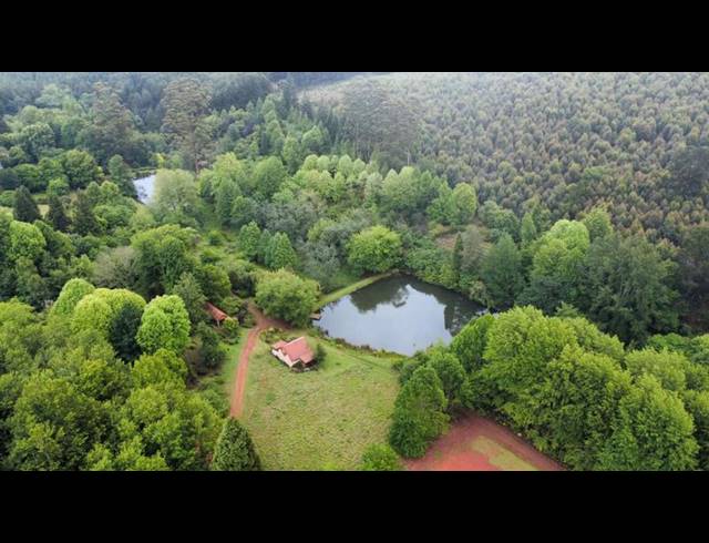 FARM FOR SALE IN TZANEEN RURAL